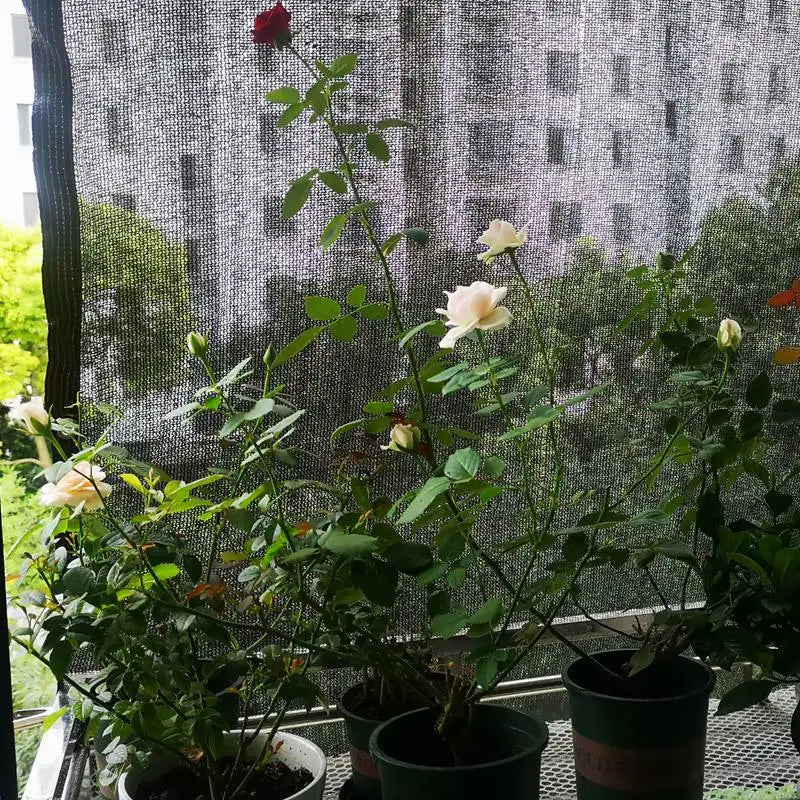 Ultimate Sun Shade Net